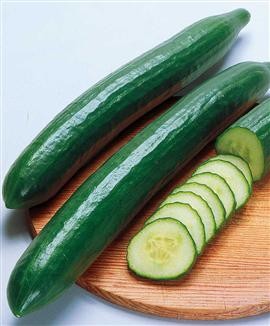 http://img.xooimage.com/files26/5/f/f/concombre-5663aa.jpg