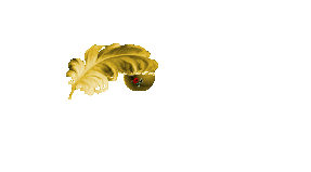 :plume: