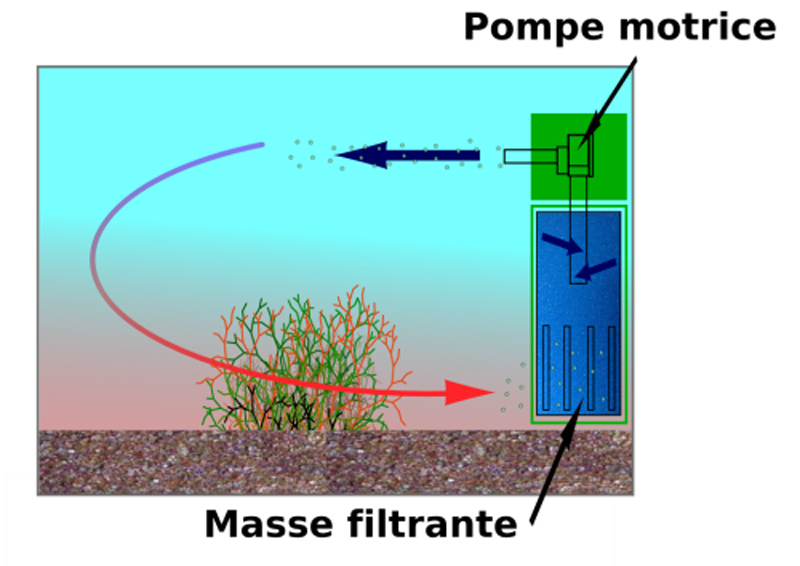 Schema masse filtrante aquarium