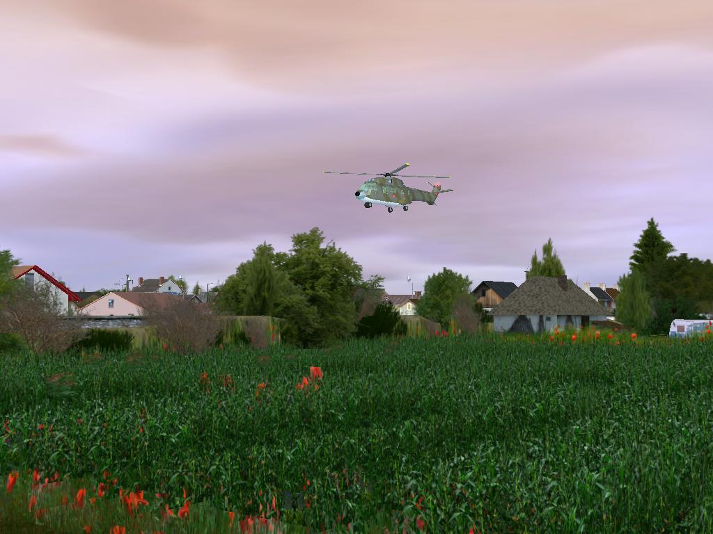 saintperret01012010_39-17127ff.jpg