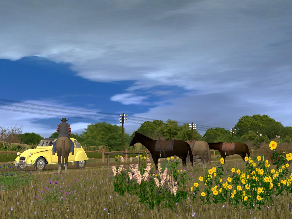 pl2_2010_5-1787fee.jpg