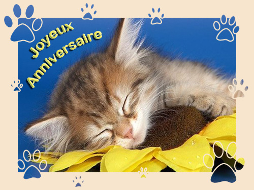 texte carte anniversaire maman