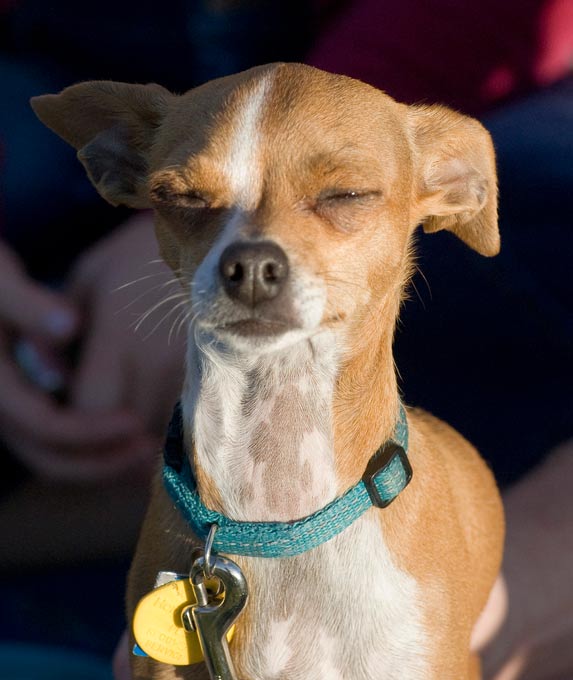 rencontre petite taille