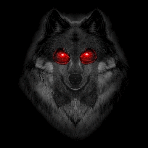 los lobos Index du Forum