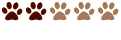 Bavard
