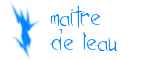 Maître de l