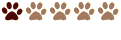Nouveau