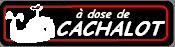 Cachalot