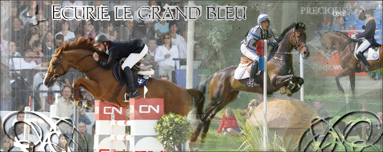 Ecurie le grand bleu Index du Forum