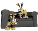 chiens sur canapé