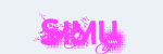 Simulateur