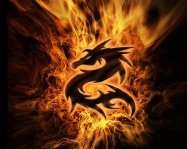 Dragons