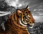 tigre-or