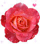 Rosee