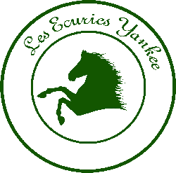 Le Forum des écuries Yankee Index du Forum
