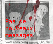 Pas de nouveaux messages Pas de nouveaux messages