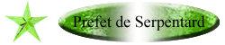 Prefet Serpentard Prefet Serpentard
