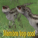 Membre trop cool