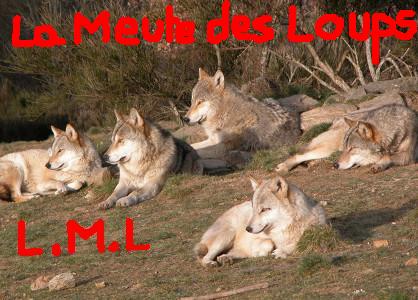 La Meute des Loups. Index du Forum