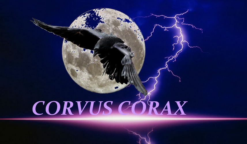 Corvus Corax Index du Forum