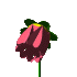 Fleur