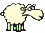 mouton