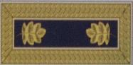 Major staff