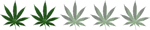 RASTA