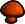 Champignon(s) Champignon(s)