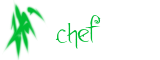Chef de la Terre