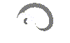 yang