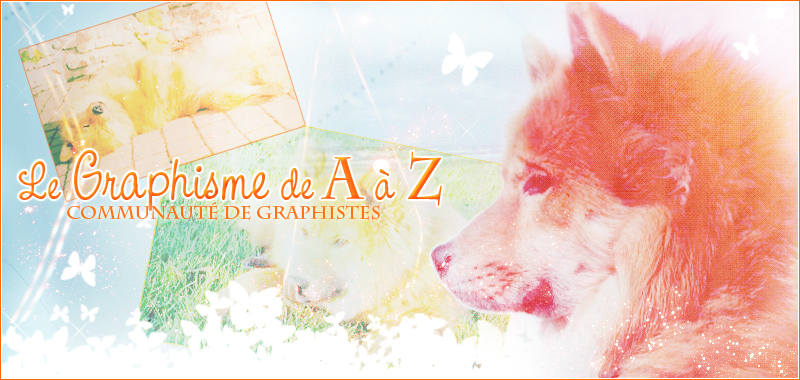 Le graphisme de A à Z Index du Forum