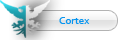 Cortex
