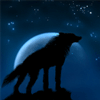 Vieux Loup