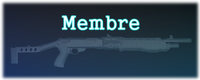 Membre