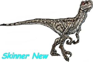 Skinner new