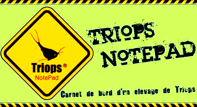 forum triops Index du Forum