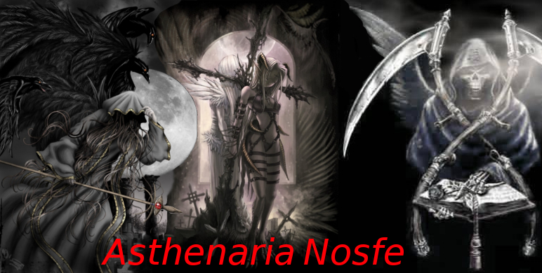 Asthenaria Nosfe Index du Forum