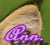 Annonce