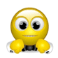 Wink