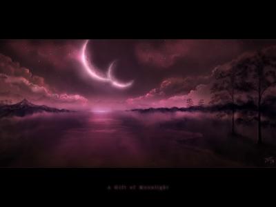 night-academy Index du Forum