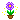 fleurs