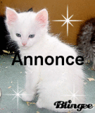 Annonce