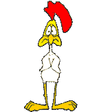 coq
