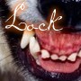 Ce forum est verrouillé; vous ne pouvez pas poster, ni répondre, ni éditer les sujets. Ce forum est verrouillé; vous ne pouvez pas poster, ni répondre, ni éditer les sujets.