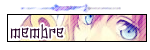 Membre