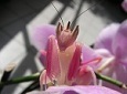 New posts