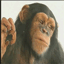 singe