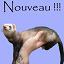 Nouveaux messages
