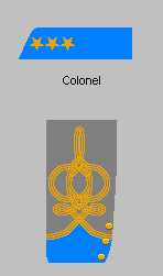 Colonel D'infanterie